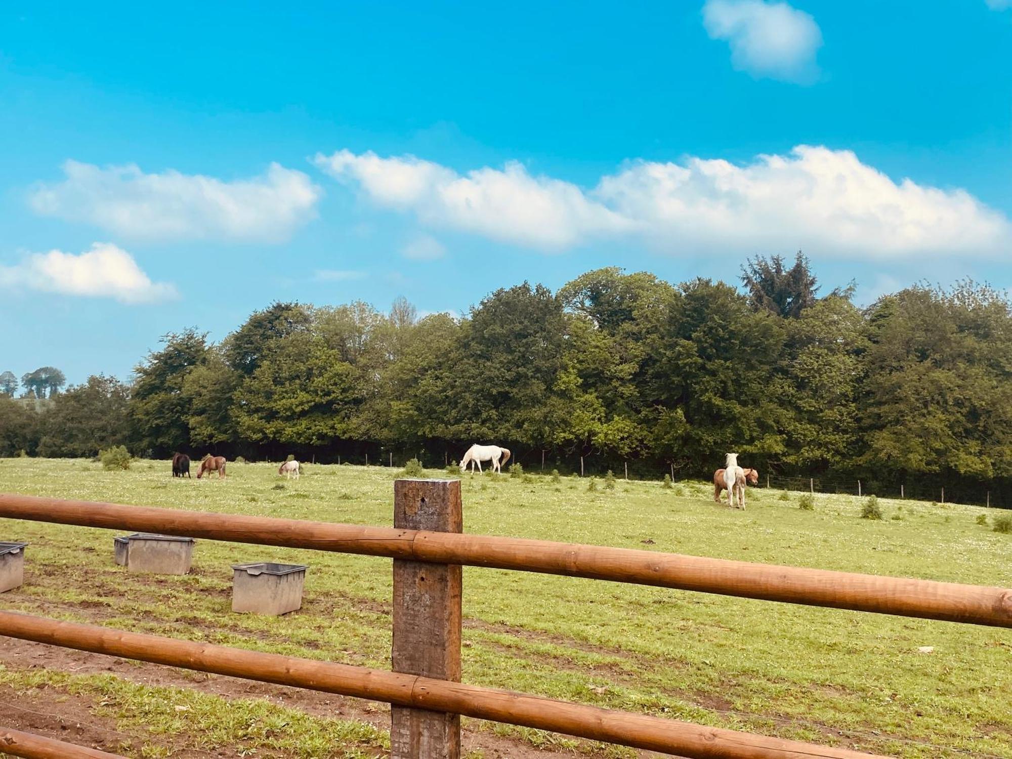 Escapade Dans Un Ranch Le Sourn Exterior foto