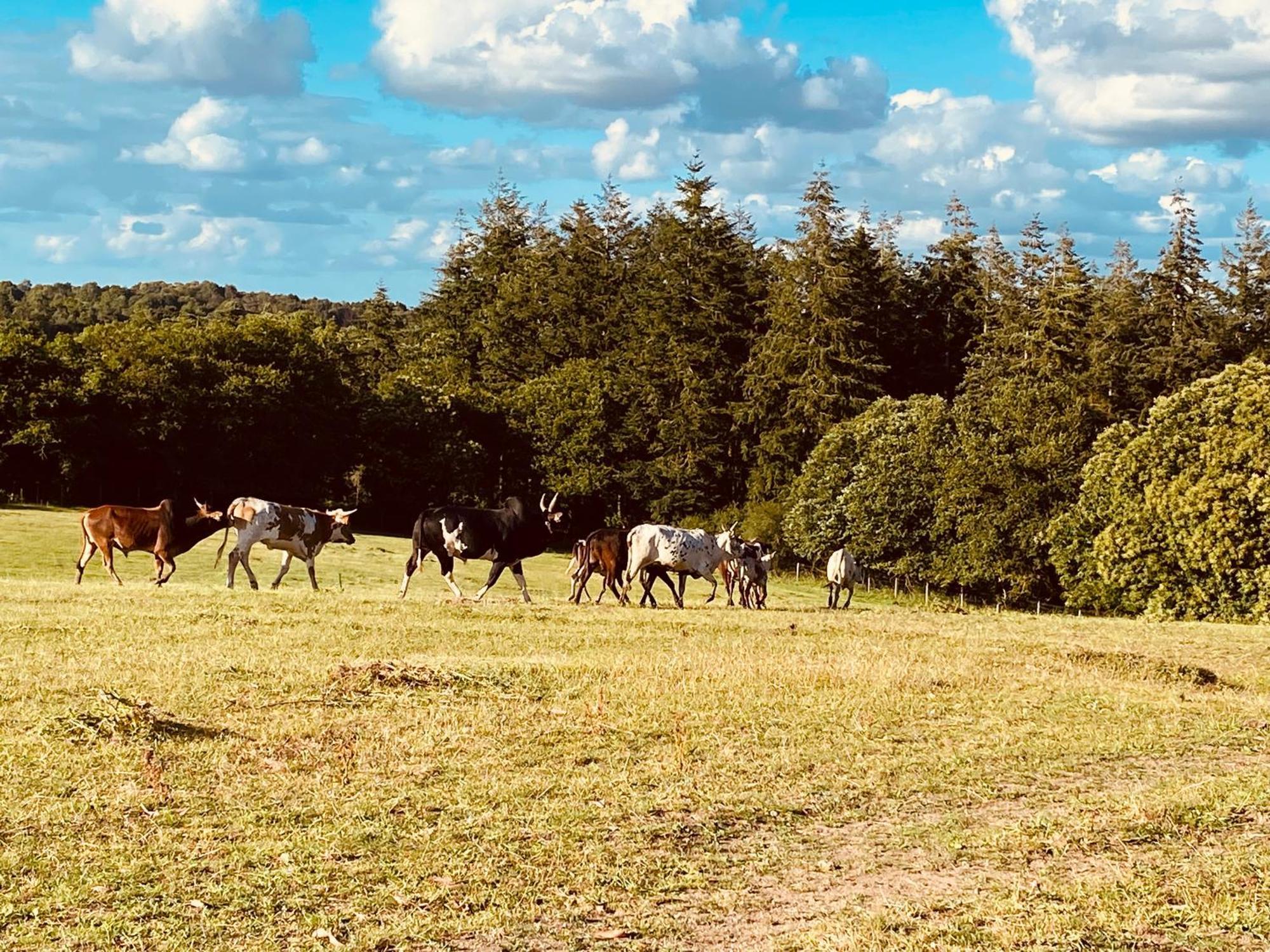 Escapade Dans Un Ranch Le Sourn Exterior foto